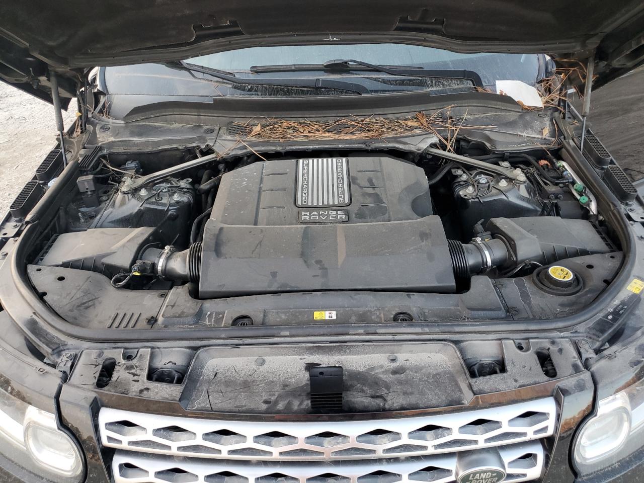SALWR2WF0EA503965 — photo 11
