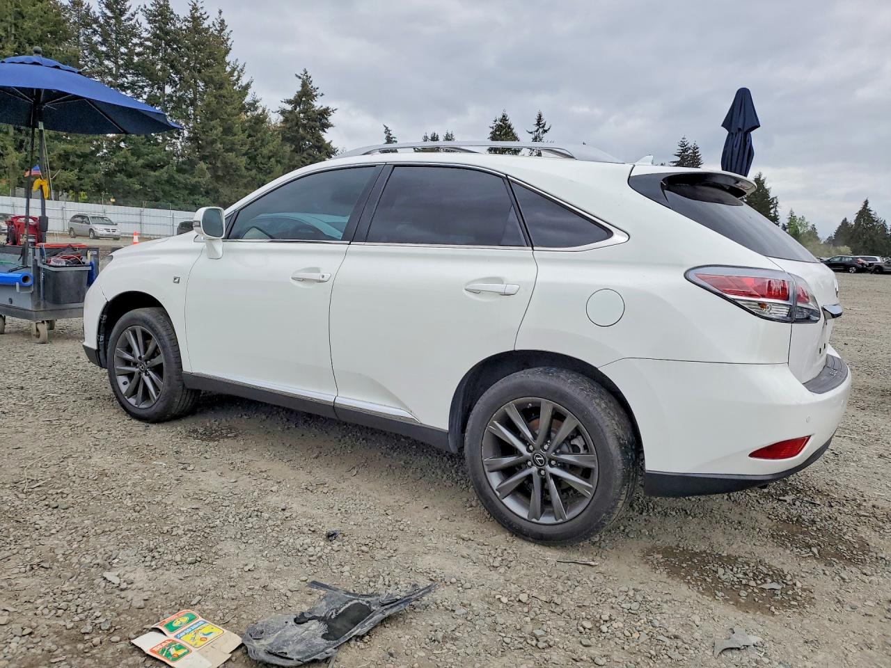 2013 LEXUS RX — VIN 2T2BK1BA1DC174357 — photo 2